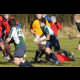 image 37 of 81